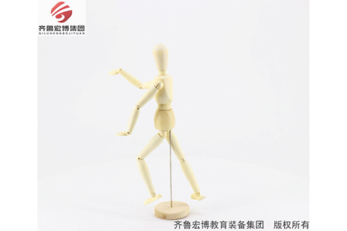 木質(zhì)關節(jié)人